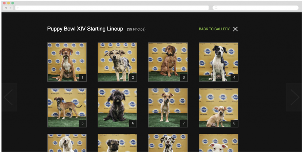 Pedigree + Animal Planet’s ‘Puppy Bowl XIV Starting Lineup'