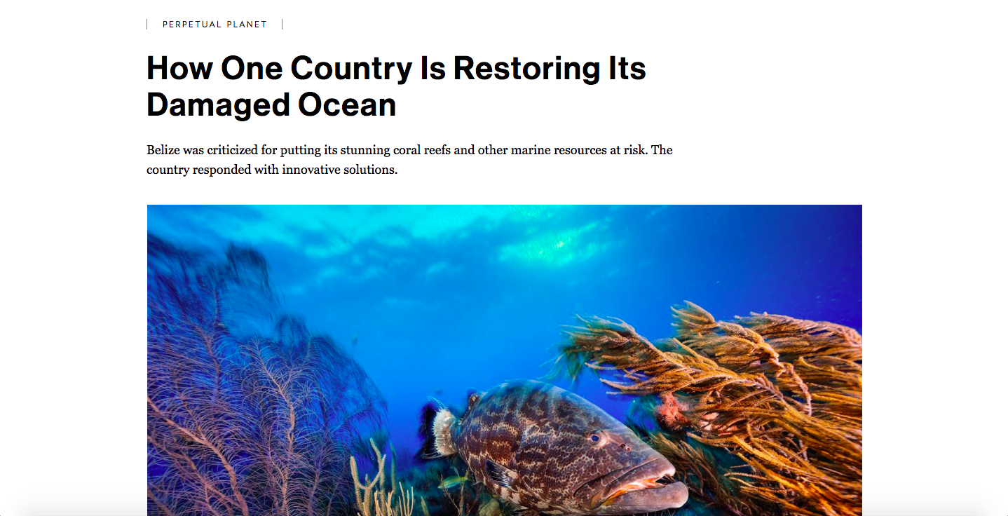 Rolex + National Geographic, How One Country Is Restoring Its Damaged Ocean