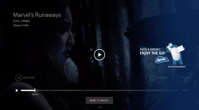 Hulu, screen ads whilst pausing video