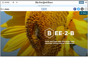 IBM on NYT